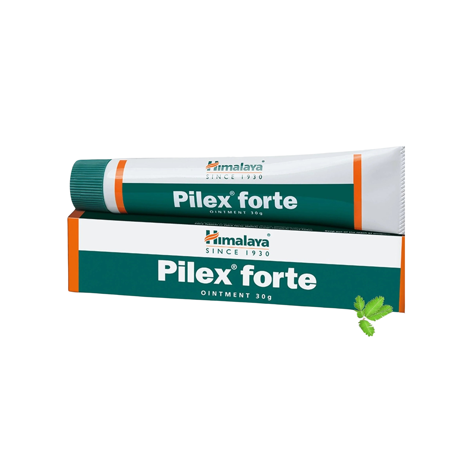 PILEX FORTE Onitment 30 GM